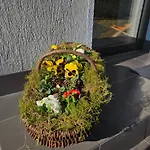Ojcowek Homestay szállás *