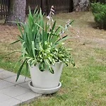 Homestay szállás Ojcowek *