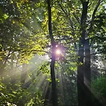 Ojcowek Homestay szállás *