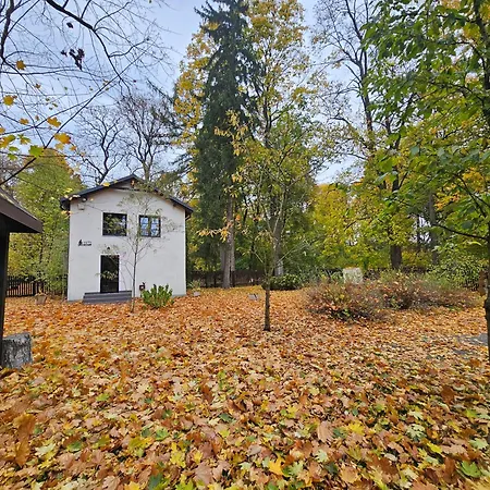 Homestay szállás Ojcowek Grzymek