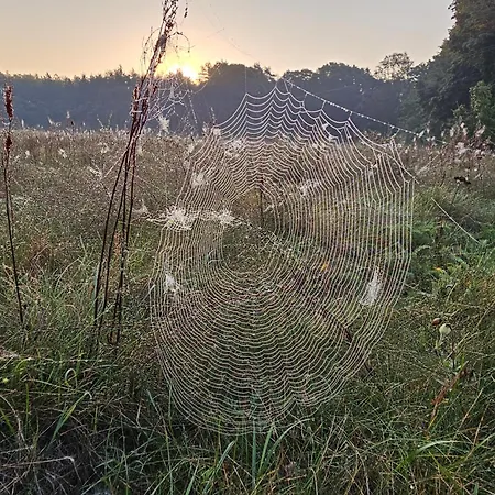 Ojcowek Homestay szállás *